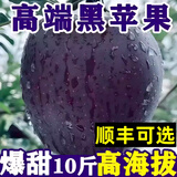顺丰可选黑卡苹果黑钻苹果5斤纯甜孕妇小孩黑色苹果新鲜水果整箱M 5斤【普邮】