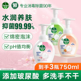 滴露泡沫抑菌洗手液 儿童宝宝除菌洗手液 抑菌99.99%玻尿酸泡泡洗手液 西柚250ml+花香250ml+青柠250ml