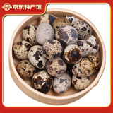 鲜窝窝 新鲜生鹌鹑蛋 鹑鸟蛋 生鲜鹌鹑蛋 附卤蛋料包 100枚 有卤料包