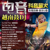 越南鼓DJ音乐U盘炸街串烧咚鼓DJ舞曲酒吧重低音嗨曲DJ电音潮流DJ 越南鼓DJ重低音+串烧-800首
