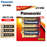 松下（Panasonic）1号大号D型LR20碱性电池2节1.5V适用手电煤气灶热水器