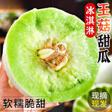 粤迎玉菇甜瓜冰淇淋香甜瓜当季软糯香甜山东水果绿肉当季现货应季生鲜 净4.5-5斤精选果【单果411g+】