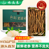 水长东新鲜人参礼盒小支15支装250g5年长白山人参东北特产源头直发包邮