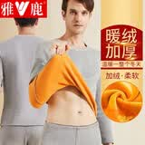 雅鹿保暖内衣男士女士加厚加绒套装加肥加大码秋衣秋裤青年防寒秋冬季 男款-浅灰【上衣+裤子】 2XL