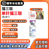 【顺丰冰仓直发】金宇猫三联疫苗幼猫成猫猫咪疫苗猫瘟猫三联疫苗狂犬猫咪疫苗妙三多同款猫三联 1针猫三联+驱虫药*1