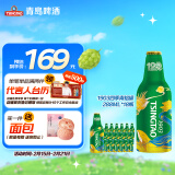 青岛啤酒（TsingTao）经典1903四季常青铝瓶288ml*18瓶整箱装 情人节送礼