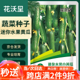 花沃里迷你水果黄瓜100粒/包蔬菜种子瓜果家庭盆栽阳台办公庭院花坛盆栽