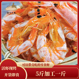 海石兄弟即食虾干烤虾干虾仁干海产干货零食干海鲜特产 大脆皮虾250g