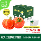 绿行者（GREER）红又红普罗旺斯番茄 净重4.5斤 水果西红柿 新鲜蔬菜  源头直发