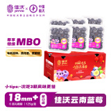 佳沃（joyvio）云南当季蓝莓MBO系列 18mm+大果 6盒礼盒装 约125g/盒 生鲜水果