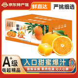 集年鲜赣南脐橙手剥甜橙子新鲜现摘生鲜水果整箱节日送礼 含箱10斤净重9斤优选果（单果160-280g)