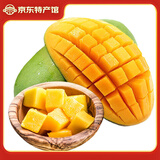 集年鲜广西大青芒果当季热带甜心多汁芒果 新鲜水果生鲜整箱节日送礼 净重4.5斤精品（单果200g起）