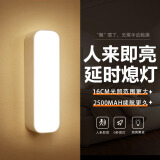 心有所属人体感应灯充电磁吸小夜灯卧室床头起夜灯家用氛围便携酷毙夜光灯