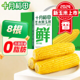 十月稻田 水果玉米3.52斤(220g*8根) 甜玉米礼盒 即食玉米水果 低脂鲜玉米