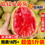 探味君 广西红心芭乐番石榴 新鲜水果生鲜健康轻食带箱 软糯红心芭乐5斤