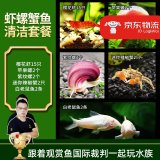 云峰海瑞黑壳虾清洁虾观赏虾 鱼缸水族箱水草缸清洁除藻淡水 虾螺蟹鱼清洁套餐