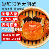 【活蟹】湖鲜阳澄 大闸蟹 全母4.0-4.3两 8只 鲜活春节过年螃蟹礼盒装送礼源头直发