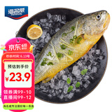 海名威 冷冻宁德黄花鱼600g/条 大黄鱼 深海鱼 生鲜鱼类 海鲜水产 
