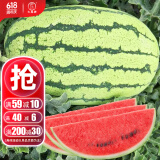 大禹懒汉西瓜种子苗特大适合南方早熟懒人8424麒麟瓜美都无籽水果蔬菜 京抗100杂交西瓜种子 5g 多汁