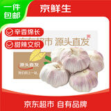 京鲜生河南新鲜半干蒜新鲜蔬菜蒜味浓郁净重2斤装源头直发