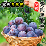 康田汇 陕西黑布林李子恐龙蛋当季水果孕妇现摘 净重2-2.5斤单果60g+ 源头直发