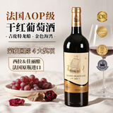 君姿法国原瓶进口红酒15度吉伦特龙船金色海湾 西拉干红葡萄酒750ml 尝鲜价【1瓶】