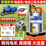 壹玖捌捌直流潜水泵48V60V72伏电瓶电动车抽水泵12V24V小型灌溉农用抽水机 高扬程12V-1寸【3米线+10米管】