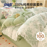 安睡宝（SOMERELLE）100%全棉床上四件套纯棉 床单款床上用品被套220*240cm1.8/2.0米