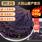 贡苑紫苏叶250g 紫苏叶茶干紫苏中药原材料紫苏籽泡茶 鱼肉虾去腥伴侣