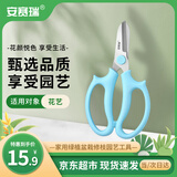 安赛瑞 不锈钢鲜花修剪刀 家用绿植盆栽修枝园艺工具 蓝色 5J00478
