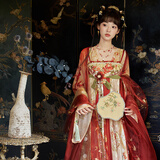 十三余小豆蔻儿[火树银花]对襟衫剪花刺绣吊带齐胸裙唐制汉服女装 吊带裙 现货 S