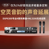 麦乐迪DSP6300卡拉ok混响器 数字音频前级效果器 家庭影院防啸叫调音台处理器含话筒 调音台均衡器 DSP6300+ML3208变频话筒套装 标准版
