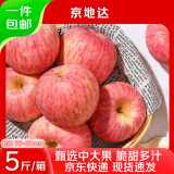 京地达烟台红富士苹果水果5斤 一级果75-80mm 新鲜水果源头直发
