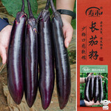 寿禾 长茄子种子苗紫皮春季菜园种植菜种籽 潍丰黑豹2号长茄种子120粒