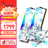 威刚（ADATA）XPG龙耀D500G吹雪联名DDR5台式内存条C28时序严选海力士Adie颗粒ddr5内存条灯条套装9800X3D专用 【C30/Adie】6000 32*2吹雪