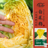 寿禾 鸡蛋黄大白菜种子苗黄心黄色蔬菜种籽 潍育鸡蛋黄白菜种子12g