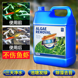 疯狂水草鱼缸除藻剂去苔剂青苔清除剂鱼池除藻去苔剂鱼塘改底改善水质4.8L