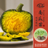 寿禾 蔬菜苗活苗带土发货大全菜苗种苗春夏各种秧苗山东寿光苗子阳台 绿贝贝南瓜苗5棵