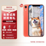 苹果xr Apple iPhone XR 双卡双待 二手手机 面容ID 全面屏 二手苹果XR 苹果xr 珊瑚色 128G【更换100%电池+闪充20W】95靓机