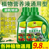 大海边 植物营养液通用型水培浓缩绿植养花卉花肥盆栽君子兰发财树绿萝 通用型500ml*2瓶【绿植花卉】