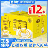 蒙牛11月产奶特香草/香蕉口味牛奶243mL*12包整箱学生饮品送礼礼盒 【9月】香蕉味243ml*12瓶