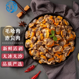 七冰东 赤贝肉毛哈肉 新鲜现剥毛蛤蜊肉冷冻毛蚬子肉血蛤肉新鲜干净无沙 赤贝肉毛哈肉 1500g 500g/袋