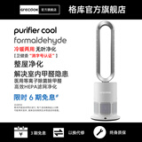 格库（GRECOOK）Air无叶风扇电风扇落地风扇空气循环扇空气净化静音立式家用节能电扇台式无扇叶除菌除甲醛 【医用级认证】净化+凉暖两用TP-09Pro白银色