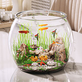 飞达三和乌龟饲养缸家用鱼缸客厅小型养乌龟专用箱生态造景晒爬台桌面龟缸 鱼缸-mini款【超清8K高透/防摔不坏】