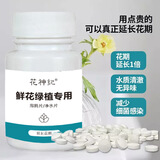 花神纪鲜花绿植专用泡腾片84消毒液养花杀菌鲜花植物园林插花卉切保鲜剂 鲜花绿植泡腾片-1瓶