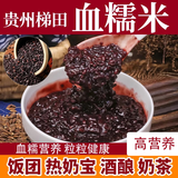 血糯米新米紫米贵州特产2斤真空正宗梯田种植包粽子血糯米黑糯米d 紫糯米 500g*2袋