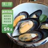 遇上鲜 舟山新鲜淡菜 海鲜 嵊泗海虹贻贝青口贝 净重6.5斤 源头直发