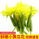 小黄瓜花新鲜青瓜花小嫩黄瓜顶花西餐厅生吃新鲜蔬菜 500g