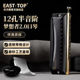 东方鼎12孔半音阶口琴梦想者2.0成人初学者入门学生新手练习半音阶演奏 梦想者2.0【黑色C调】视频教程