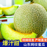 琪江果山东网纹蜜瓜 玫珑冰淇淋蜜瓜当季新鲜水果整箱 净重4.5-5斤2-3个网纹蜜瓜
